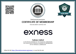 The Complete Guide to Exness com MT4 Download The Complete Guide to Exness com MT4 Download