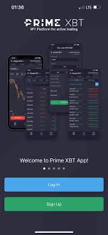 Understanding the PrimeXBT UK Wallet A Comprehensive Guide